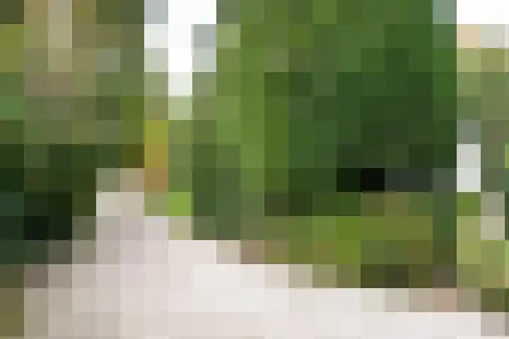 Surinamelaan 5 Hilversum thumbnail 4