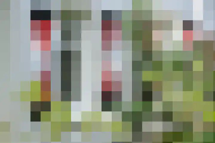 Surinamelaan 5 Hilversum thumbnail 6