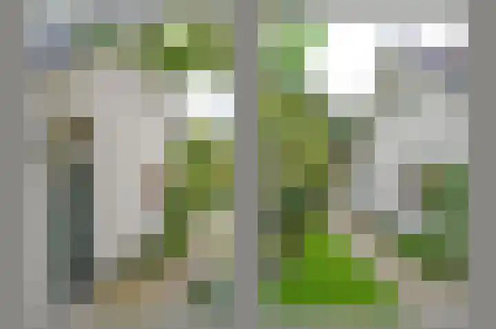 Surinamelaan 5 Hilversum thumbnail 7