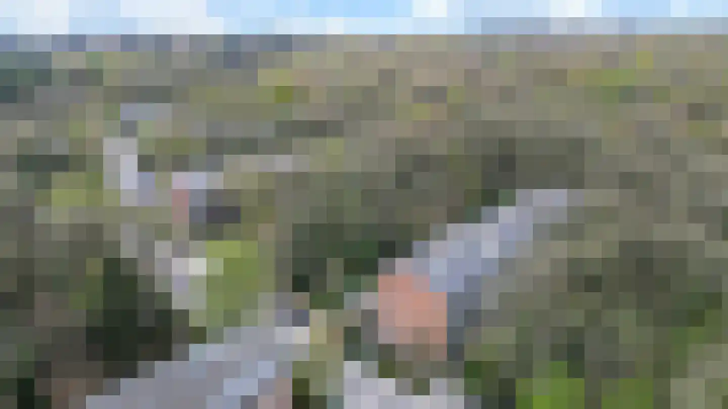 Surinamelaan 69 A Amersfoort thumbnail 37