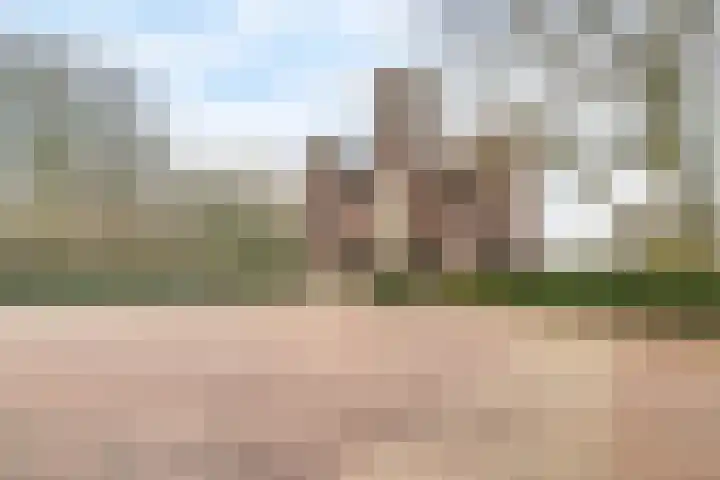 Surinamelaan 97 B Amersfoort thumbnail 31