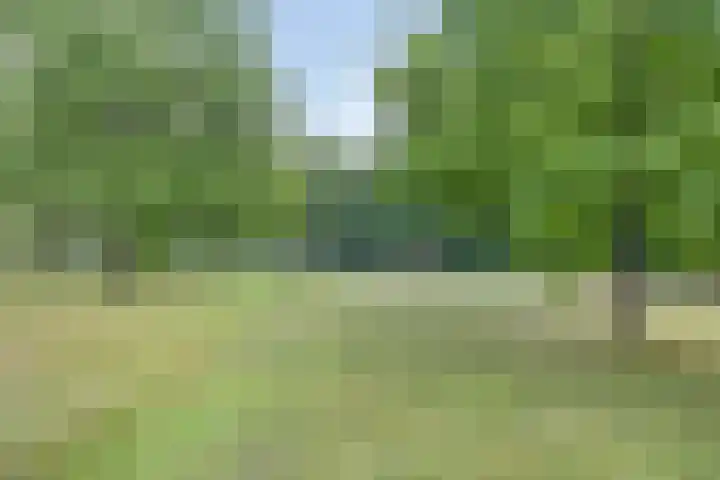 Surinamelaan 99 C Amersfoort thumbnail 31