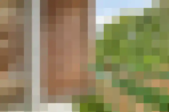 Surinamelaan 99 C Amersfoort thumbnail 8