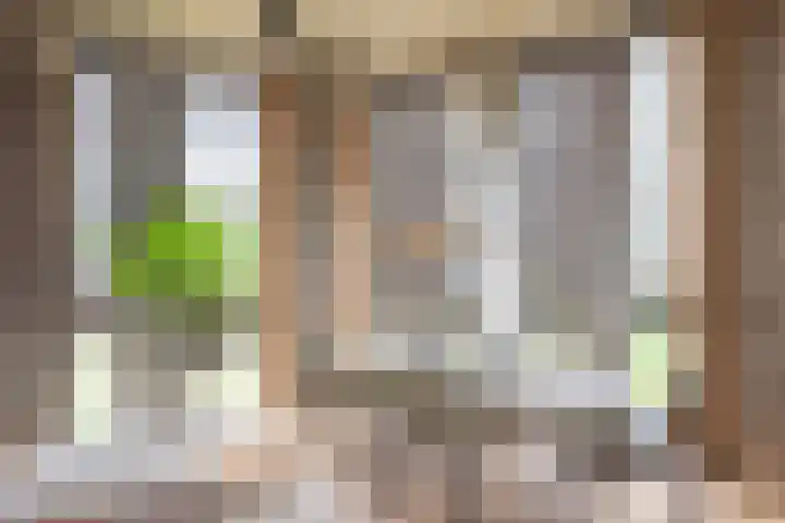 Surinamepad 100 Haarlem thumbnail 11