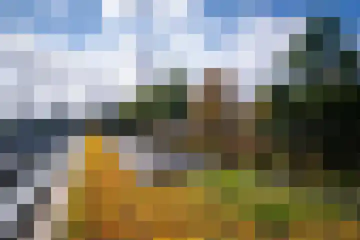 Surinamepad 100 Haarlem thumbnail 32