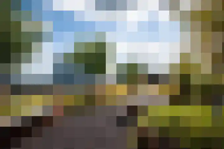 Surinamepad 100 Haarlem thumbnail 34