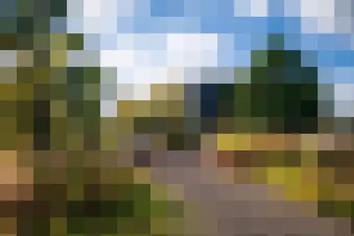 Surinamepad 100 Haarlem thumbnail 35
