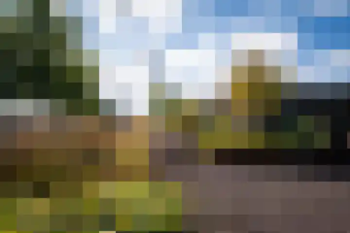 Surinamepad 100 Haarlem thumbnail 36