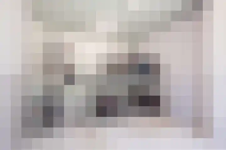 Surinamepad 100 Haarlem thumbnail 37