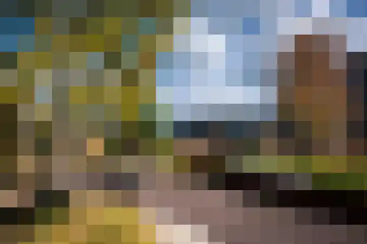 Surinamepad 100 Haarlem thumbnail 6