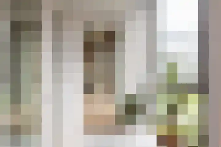 Surinamepad 100 Haarlem thumbnail 7