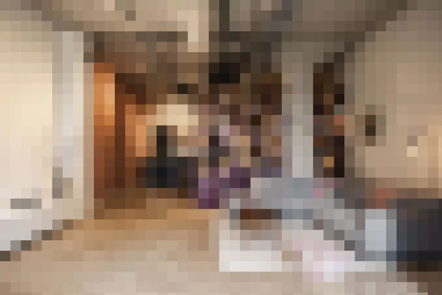 Surinamepad 106 Haarlem thumbnail 10