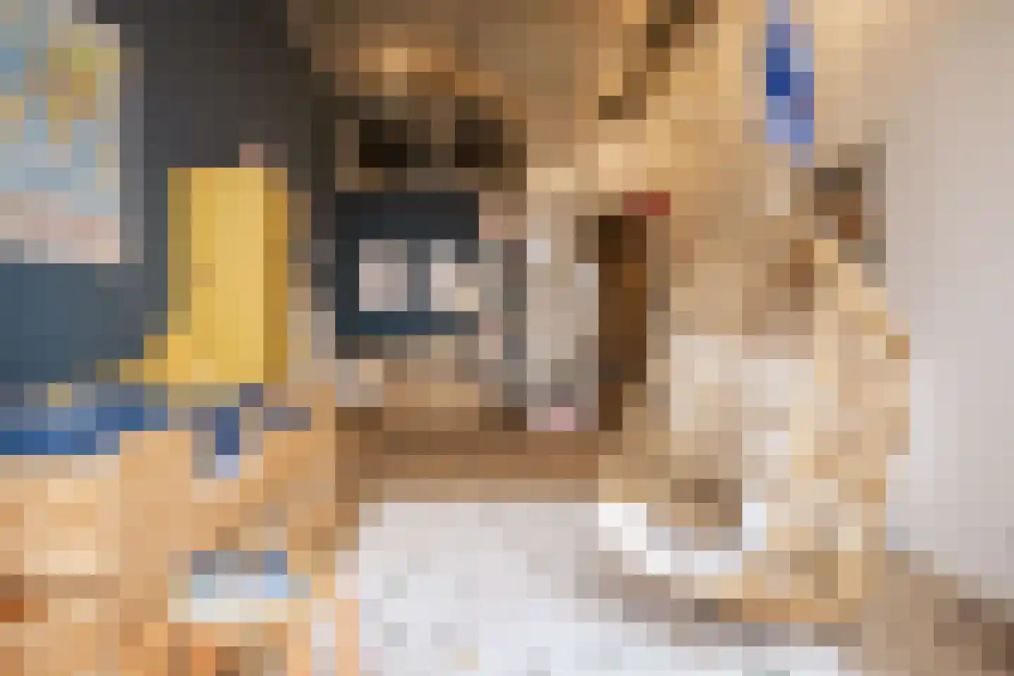 Surinamepad 106 Haarlem thumbnail 28