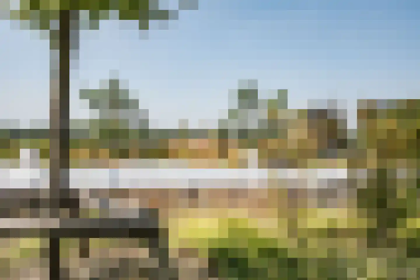 Surinamepad 106 Haarlem thumbnail 36