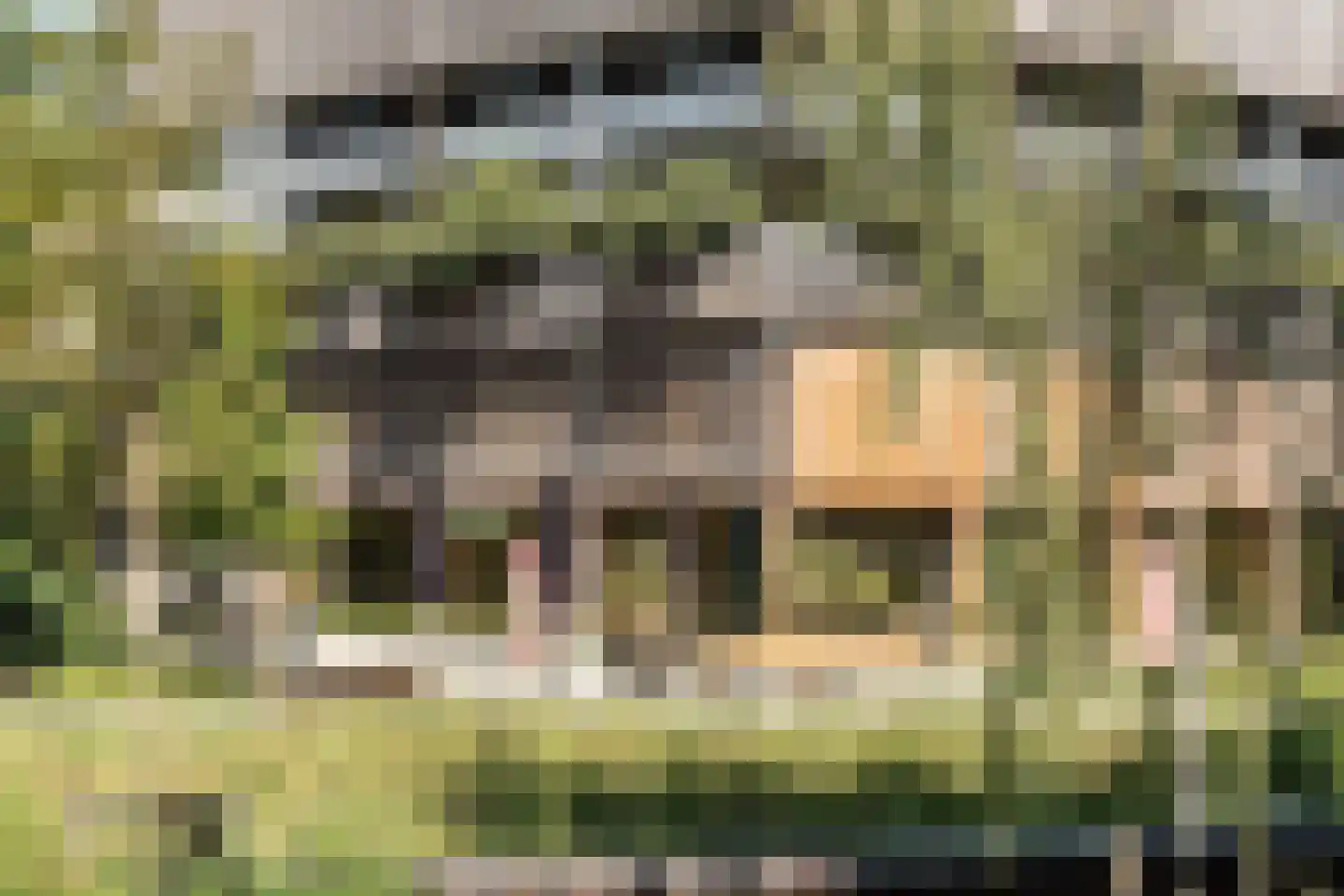 Surinamepad 106 Haarlem thumbnail 39