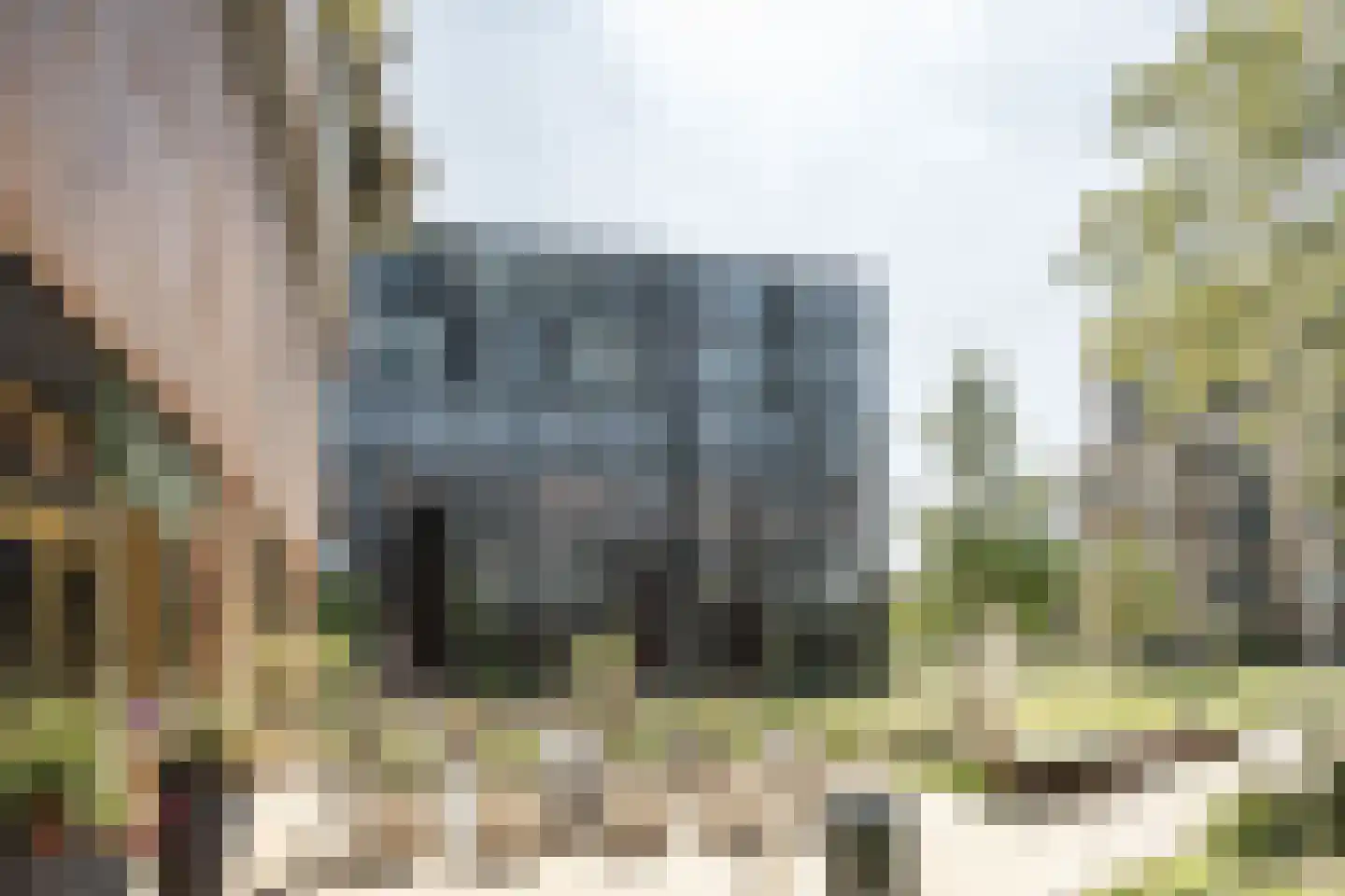 Surinamepad 106 Haarlem thumbnail 42