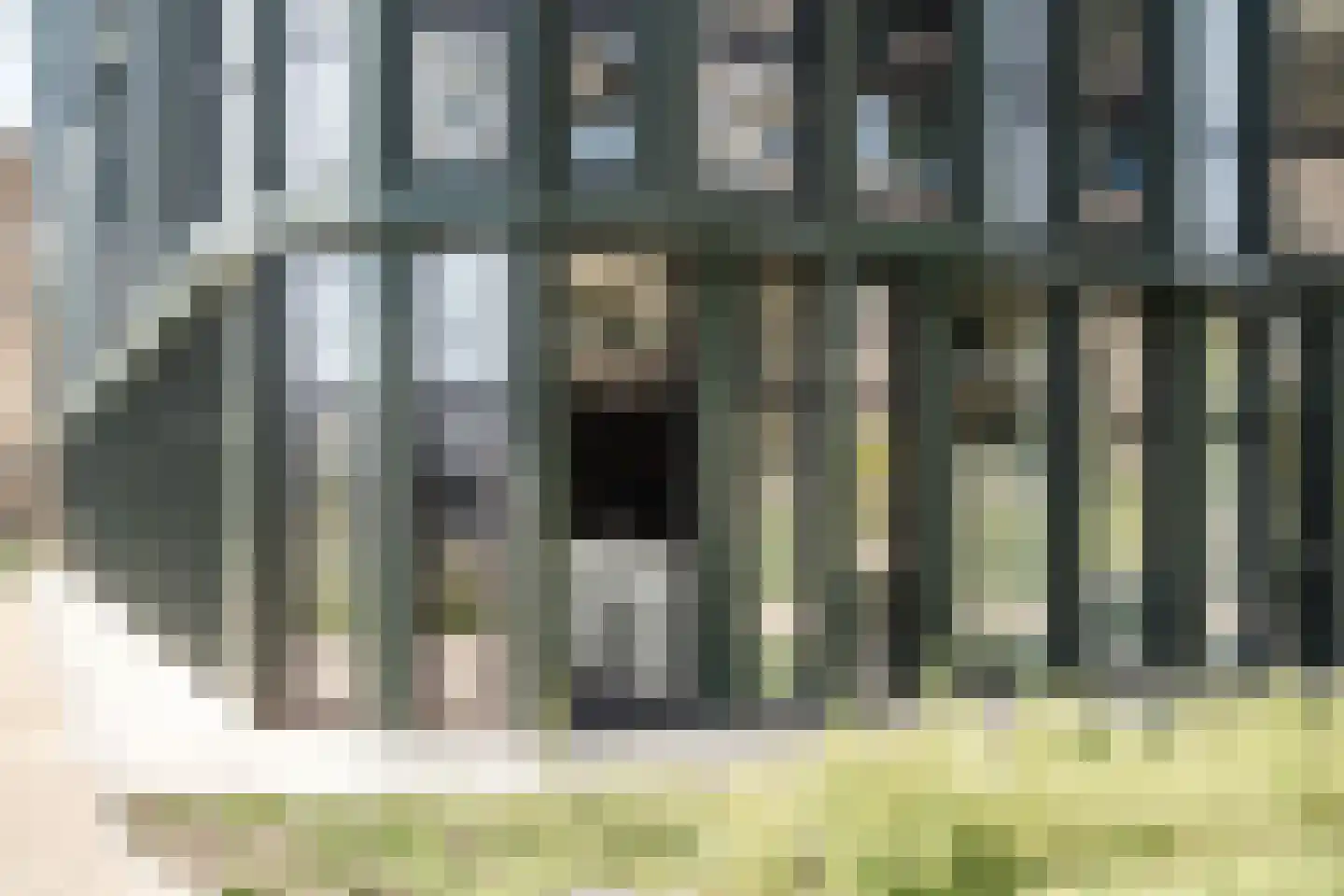 Surinamepad 106 Haarlem thumbnail 43
