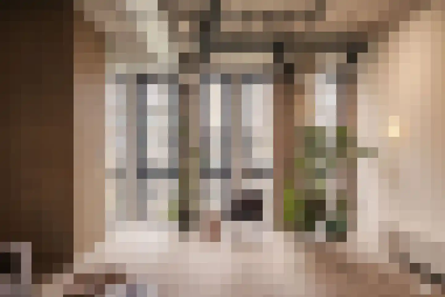 Surinamepad 106 Haarlem thumbnail 7