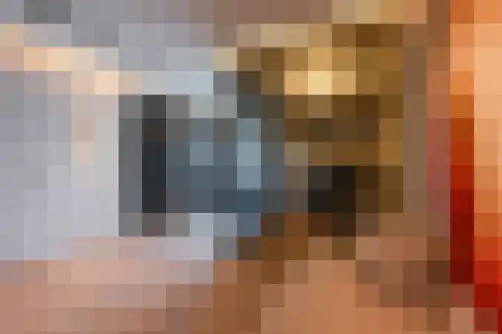 Surinamepad 118 Haarlem thumbnail 23