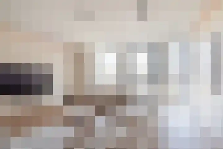Surinamepad 118 Haarlem thumbnail 5