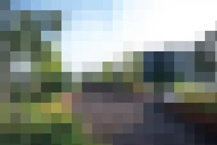 Surinamepad 118 Haarlem thumbnail 58