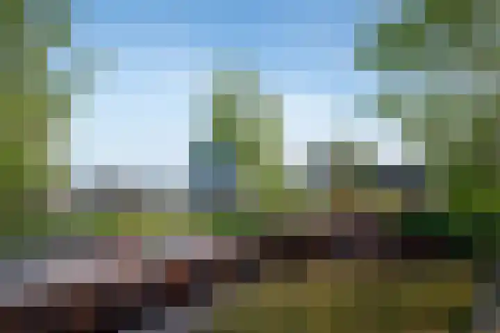 Surinamepad 118 Haarlem thumbnail 59