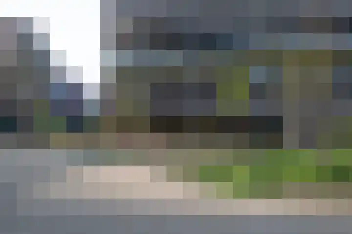 Surinamepad 118 Haarlem thumbnail 63
