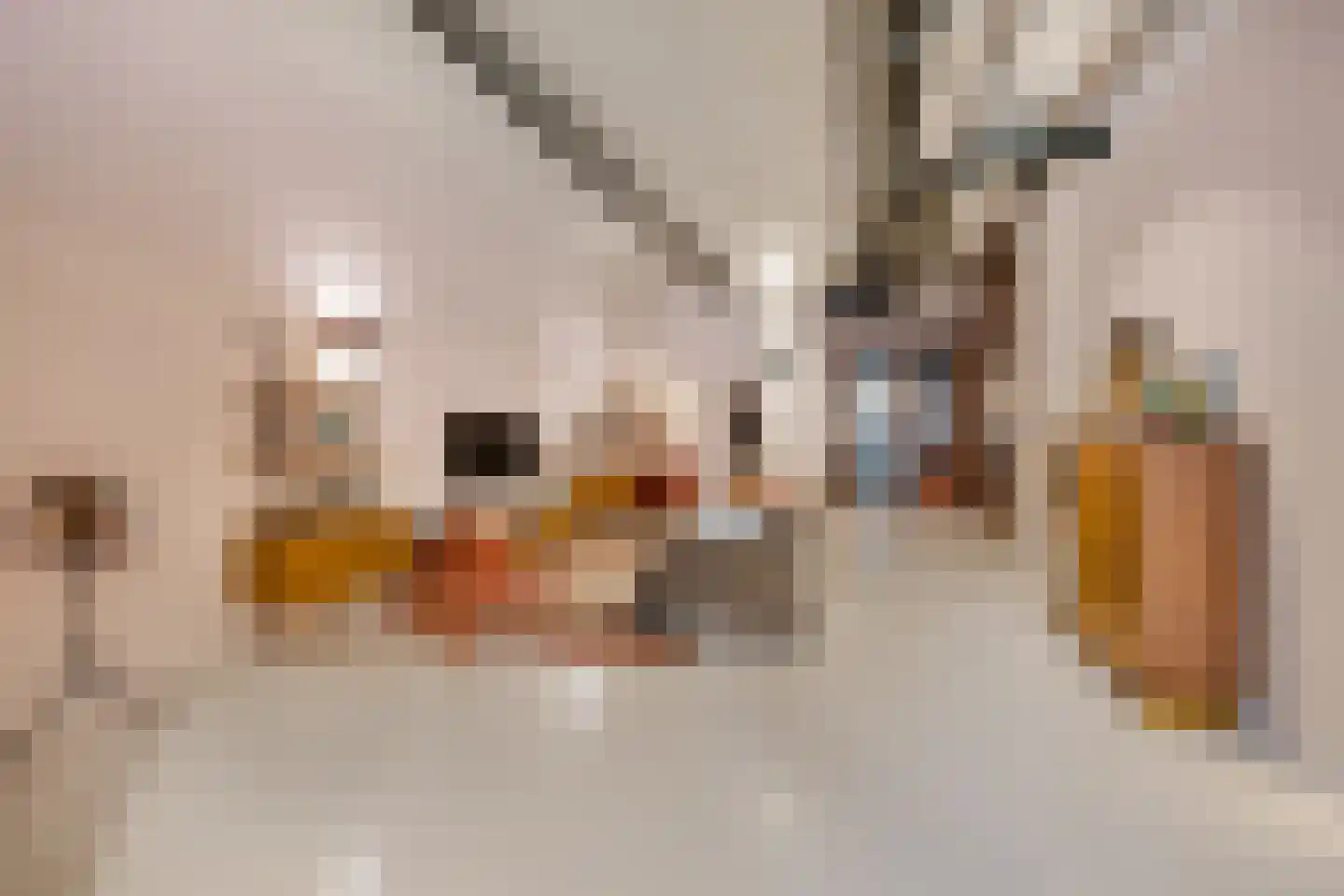 Surinamepad 128 Haarlem thumbnail 11