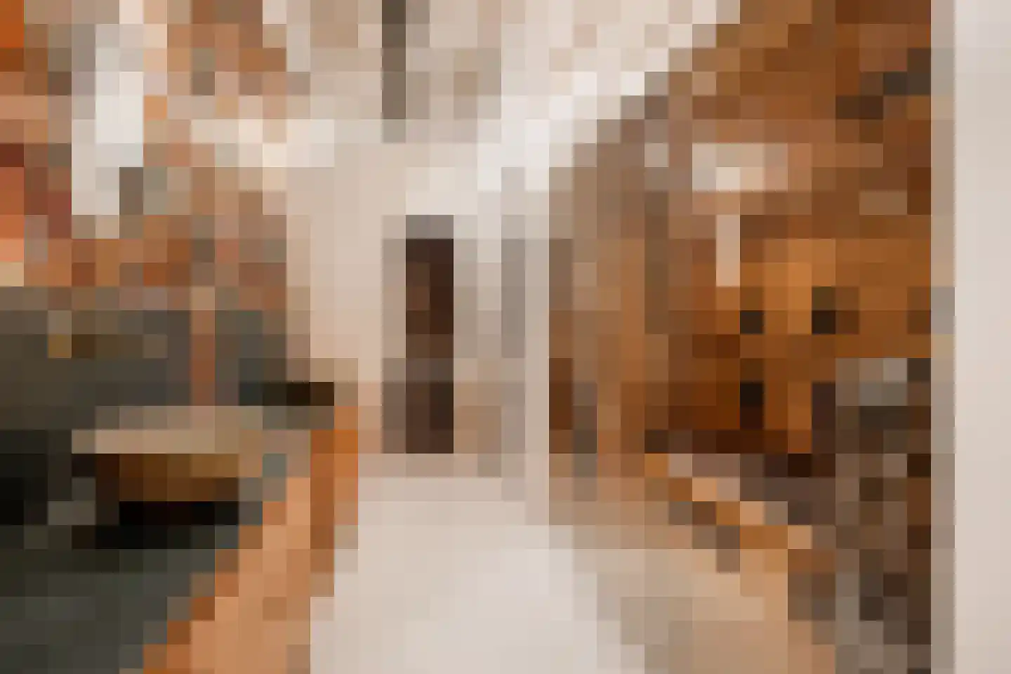 Surinamepad 128 Haarlem thumbnail 16