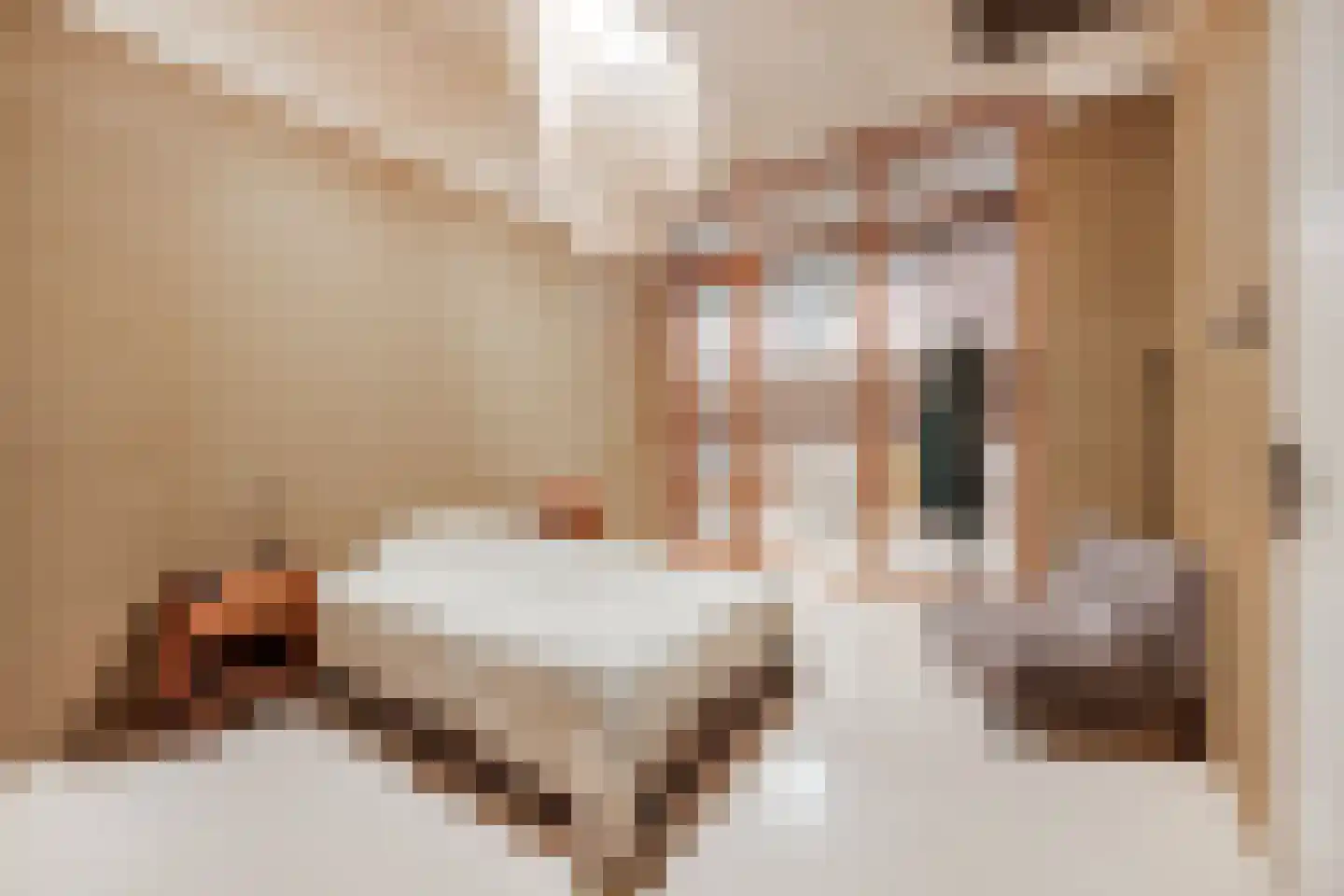 Surinamepad 128 Haarlem thumbnail 18