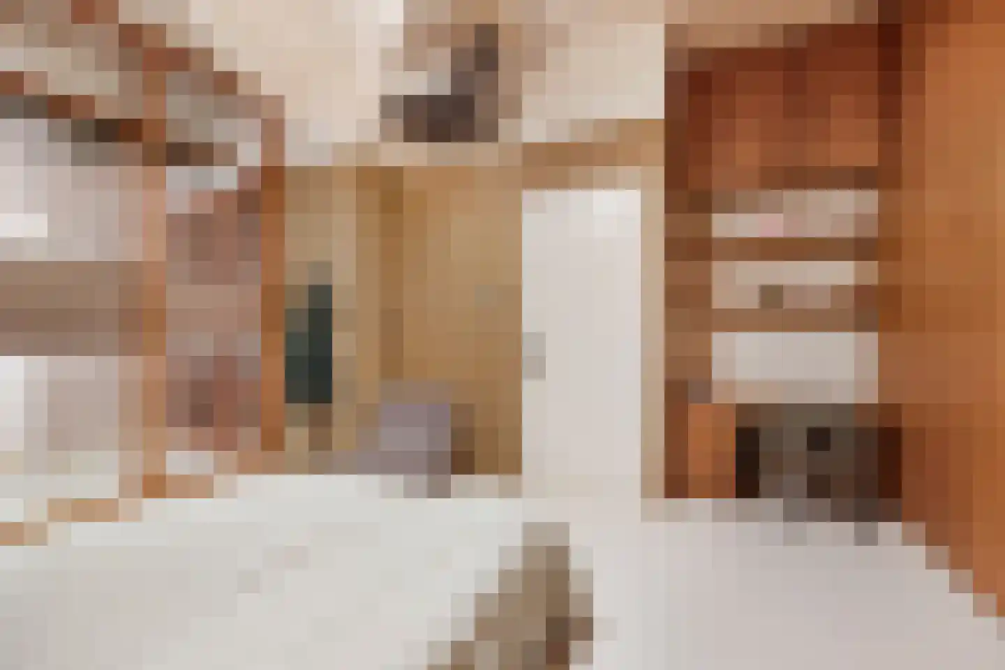 Surinamepad 128 Haarlem thumbnail 19