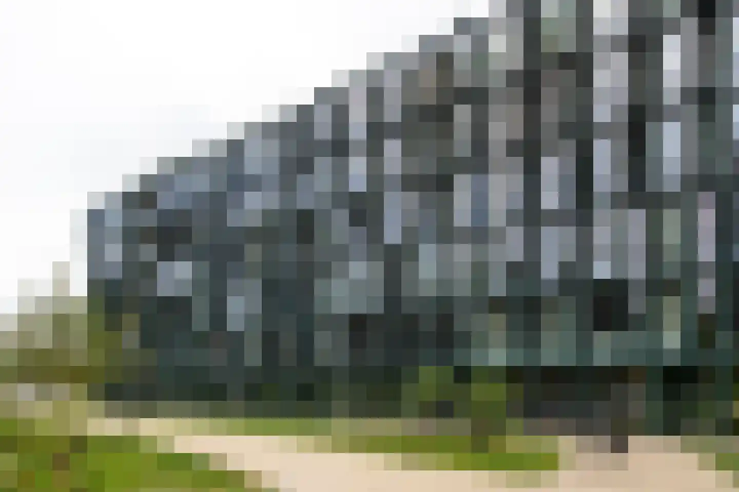 Surinamepad 128 Haarlem thumbnail 24