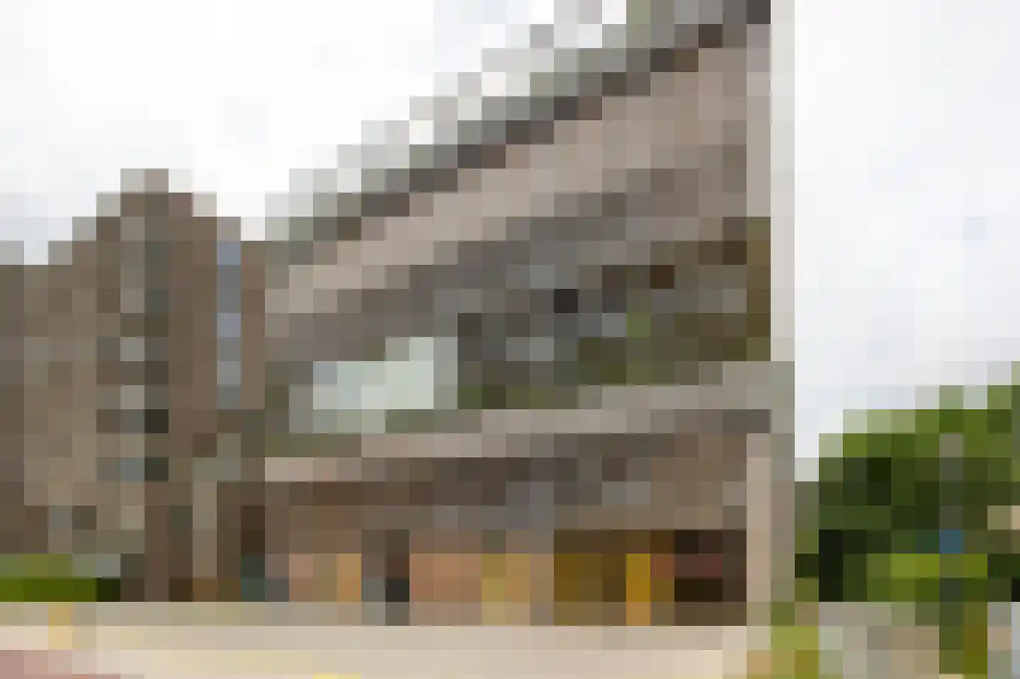 Surinamepad 128 Haarlem thumbnail 29