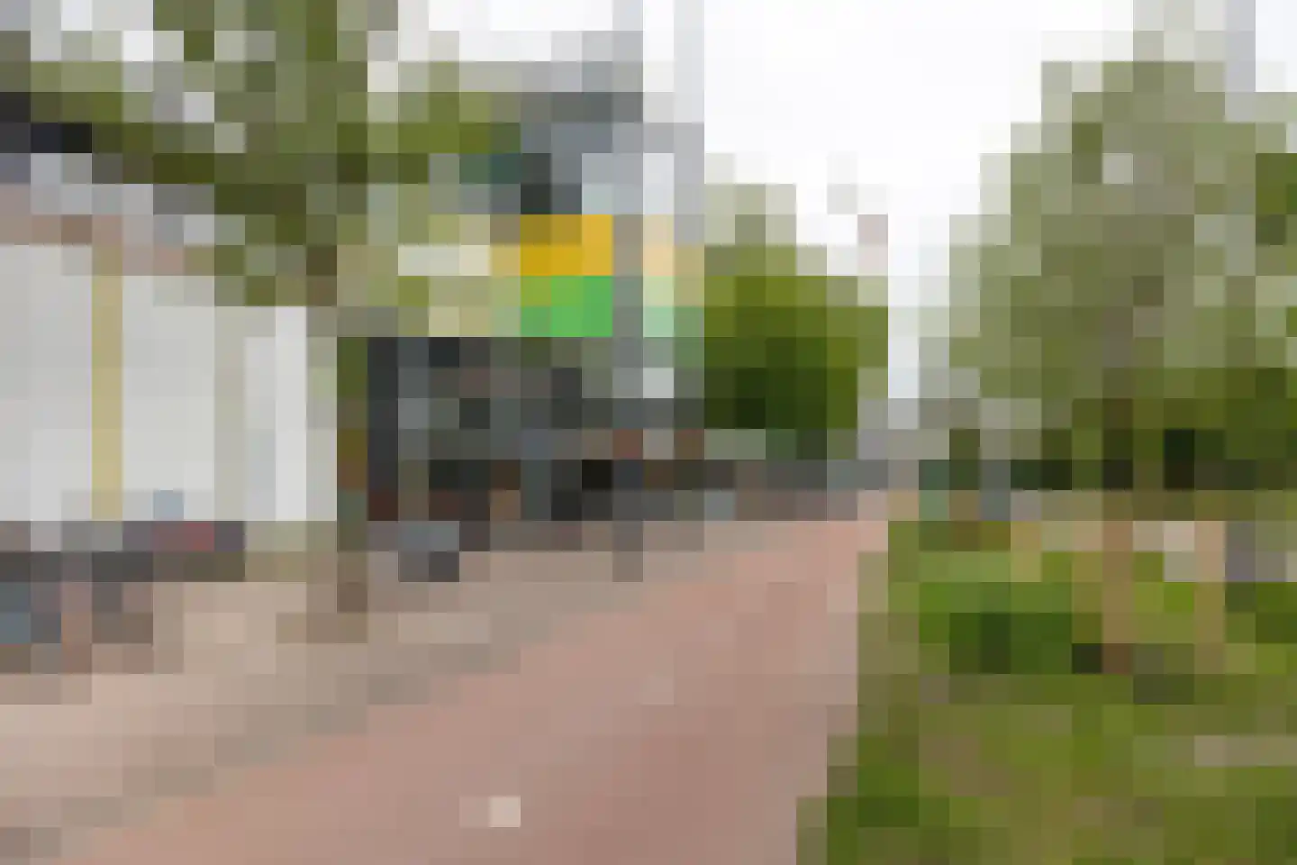 Surinamepad 128 Haarlem thumbnail 30