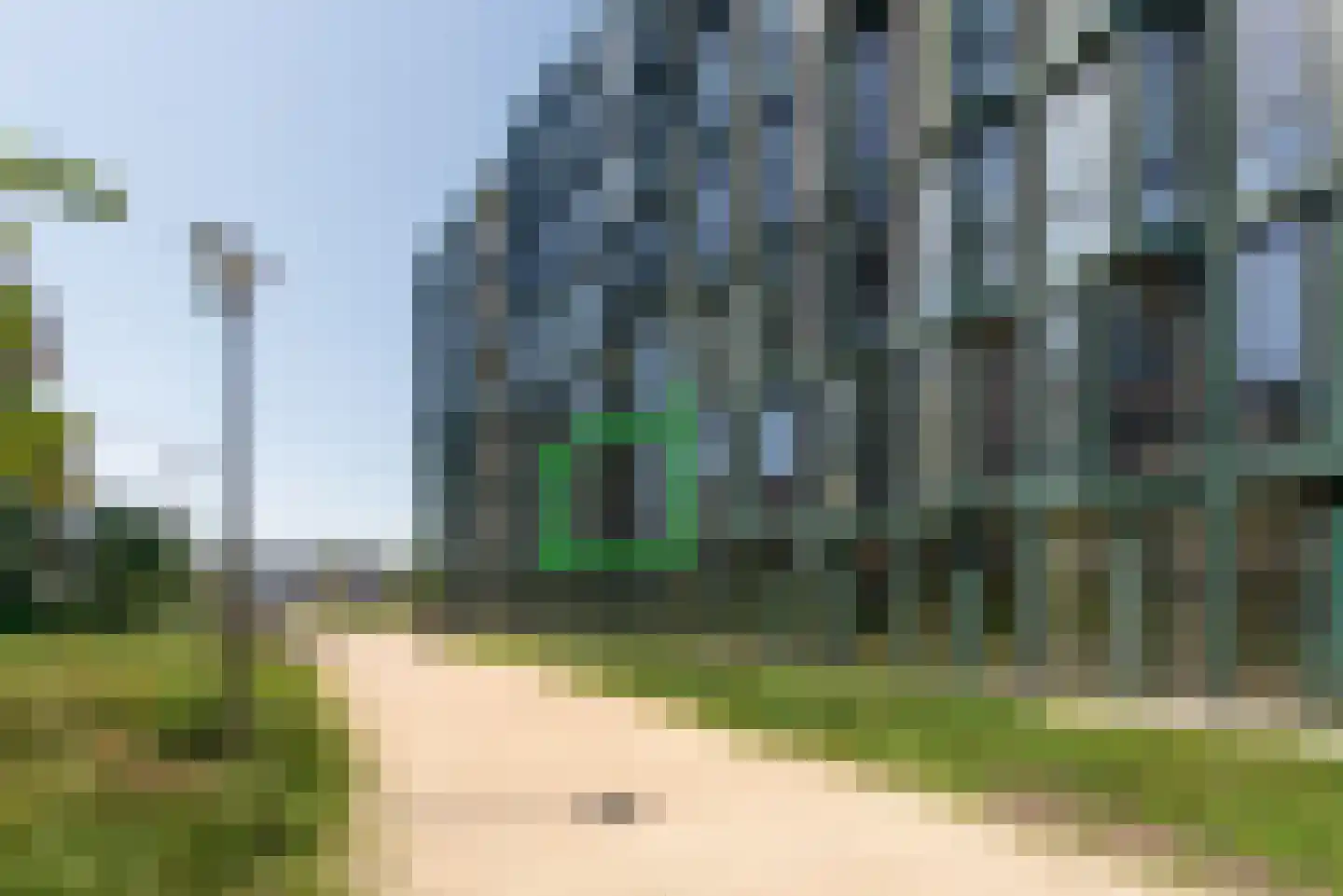 Surinamepad 132 Haarlem thumbnail 21