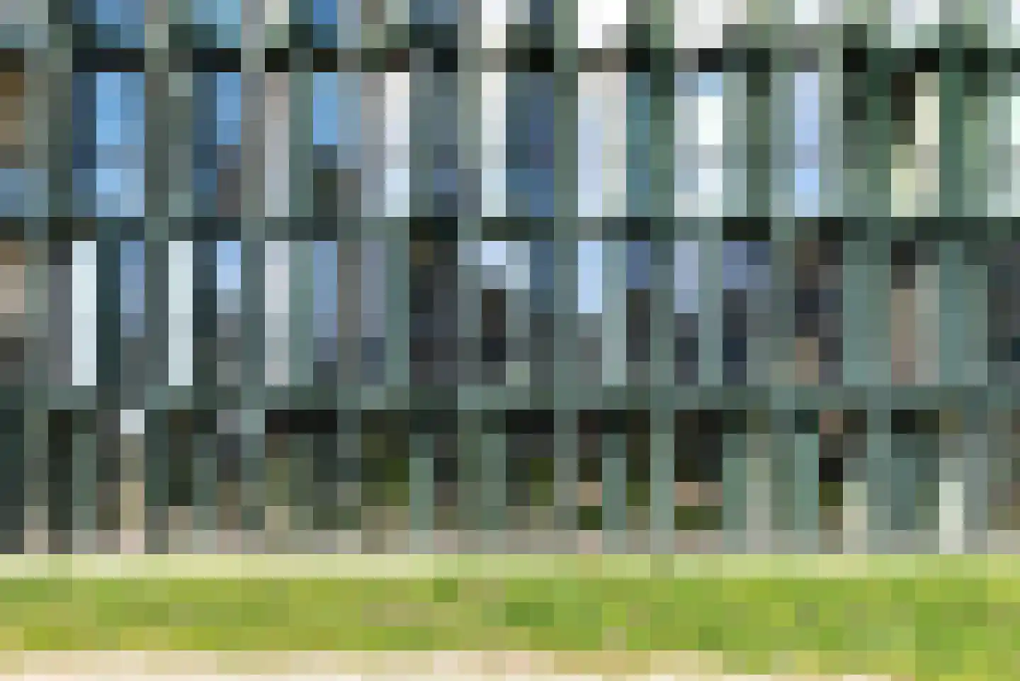 Surinamepad 132 Haarlem thumbnail 23