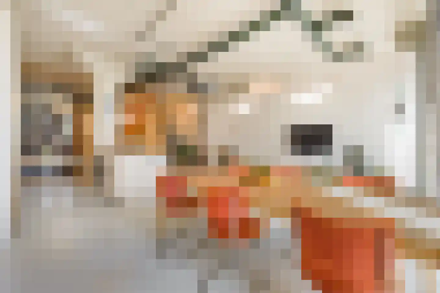 Surinamepad 132 Haarlem thumbnail 6