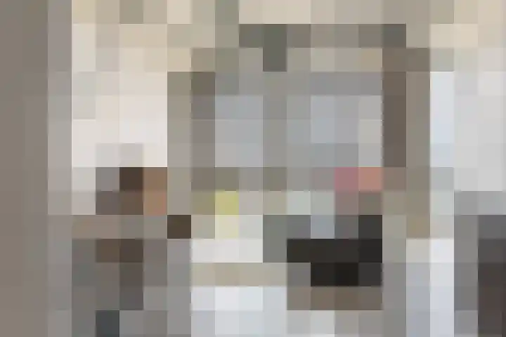 Surinamepad 140 Haarlem thumbnail 11