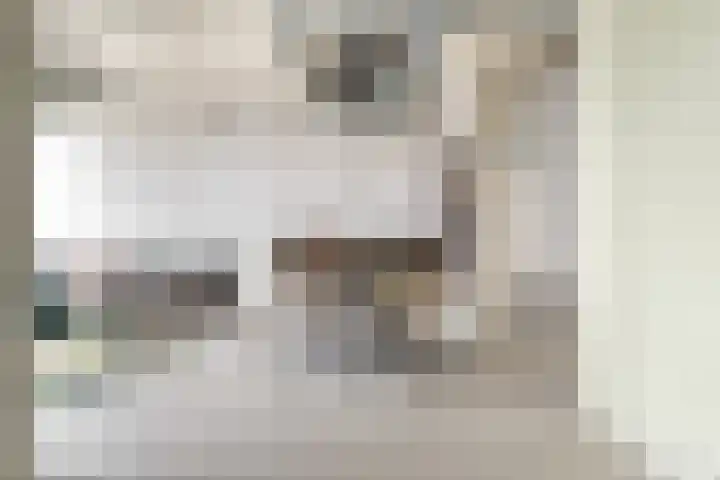 Surinamepad 140 Haarlem thumbnail 20