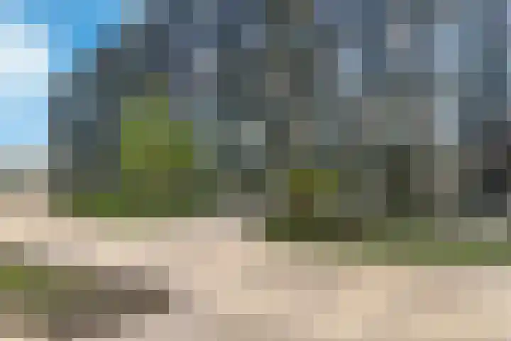 Surinamepad 140 Haarlem thumbnail 31