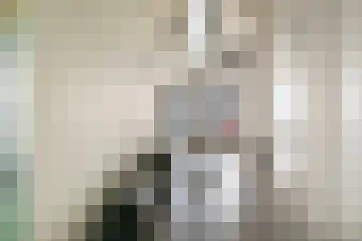 Surinamepad 140 Haarlem thumbnail 6