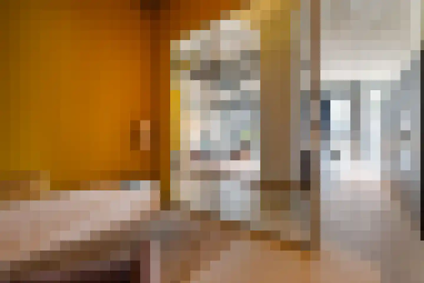 Surinamepad 148 Haarlem thumbnail 29