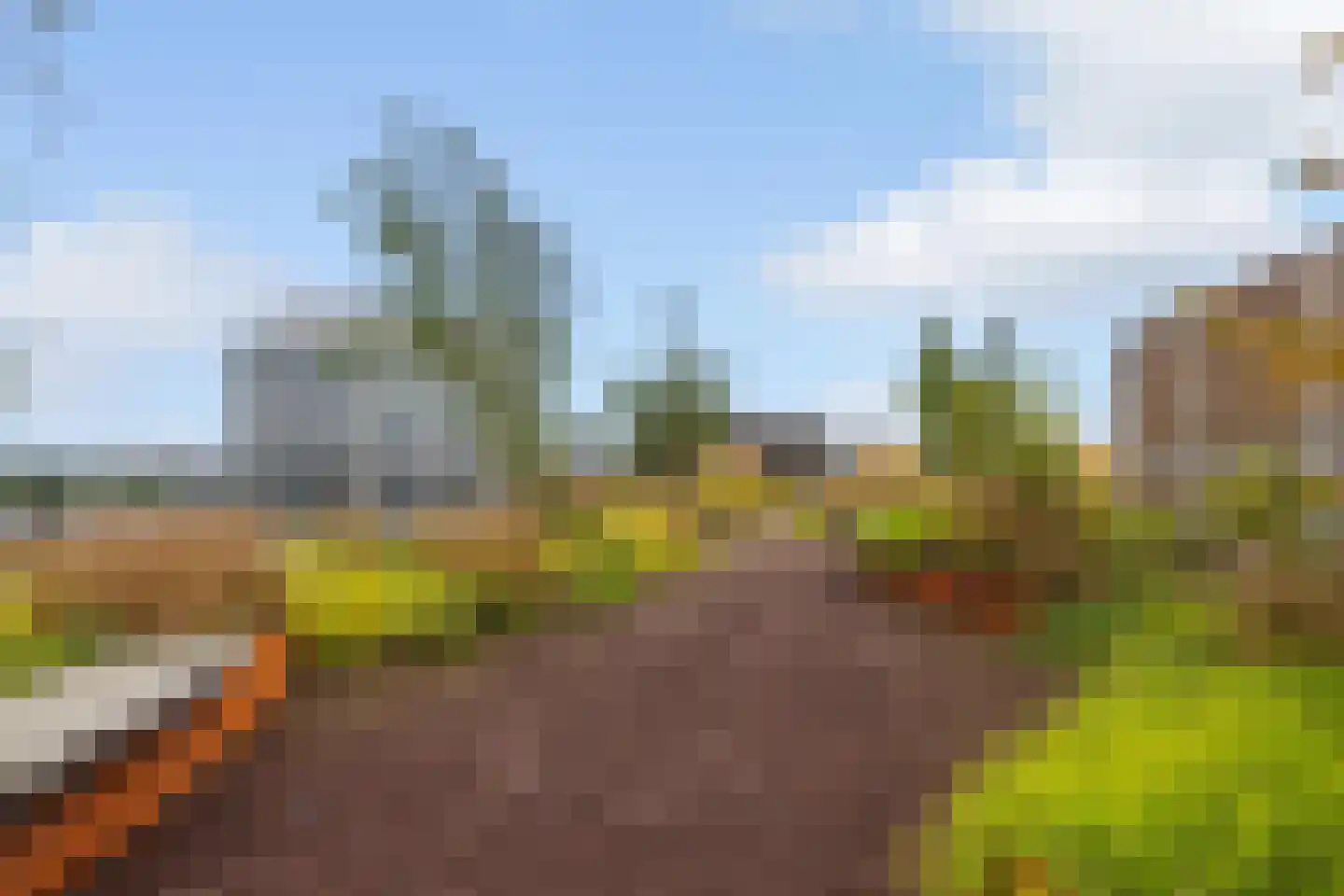 Surinamepad 148 Haarlem thumbnail 33