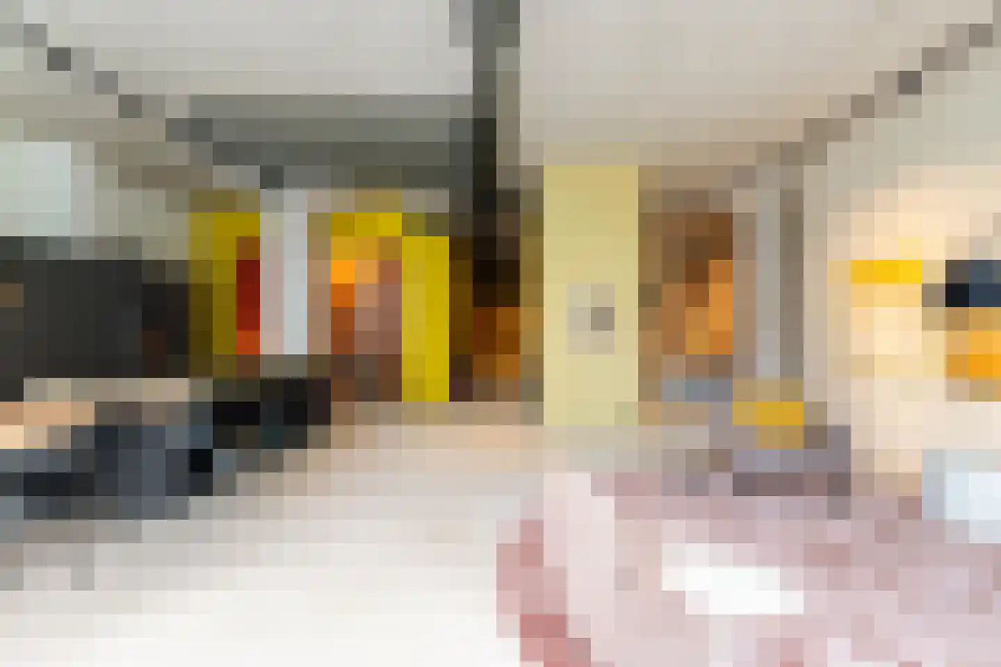 Surinamepad 148 Haarlem thumbnail 6