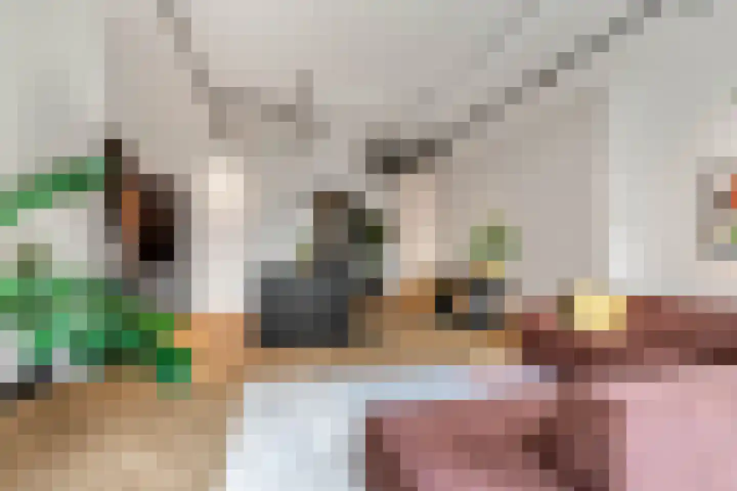 Surinamepad 152 Haarlem thumbnail 14