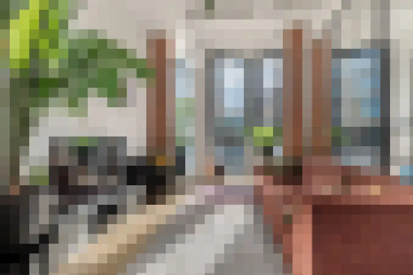 Surinamepad 152 Haarlem thumbnail 26