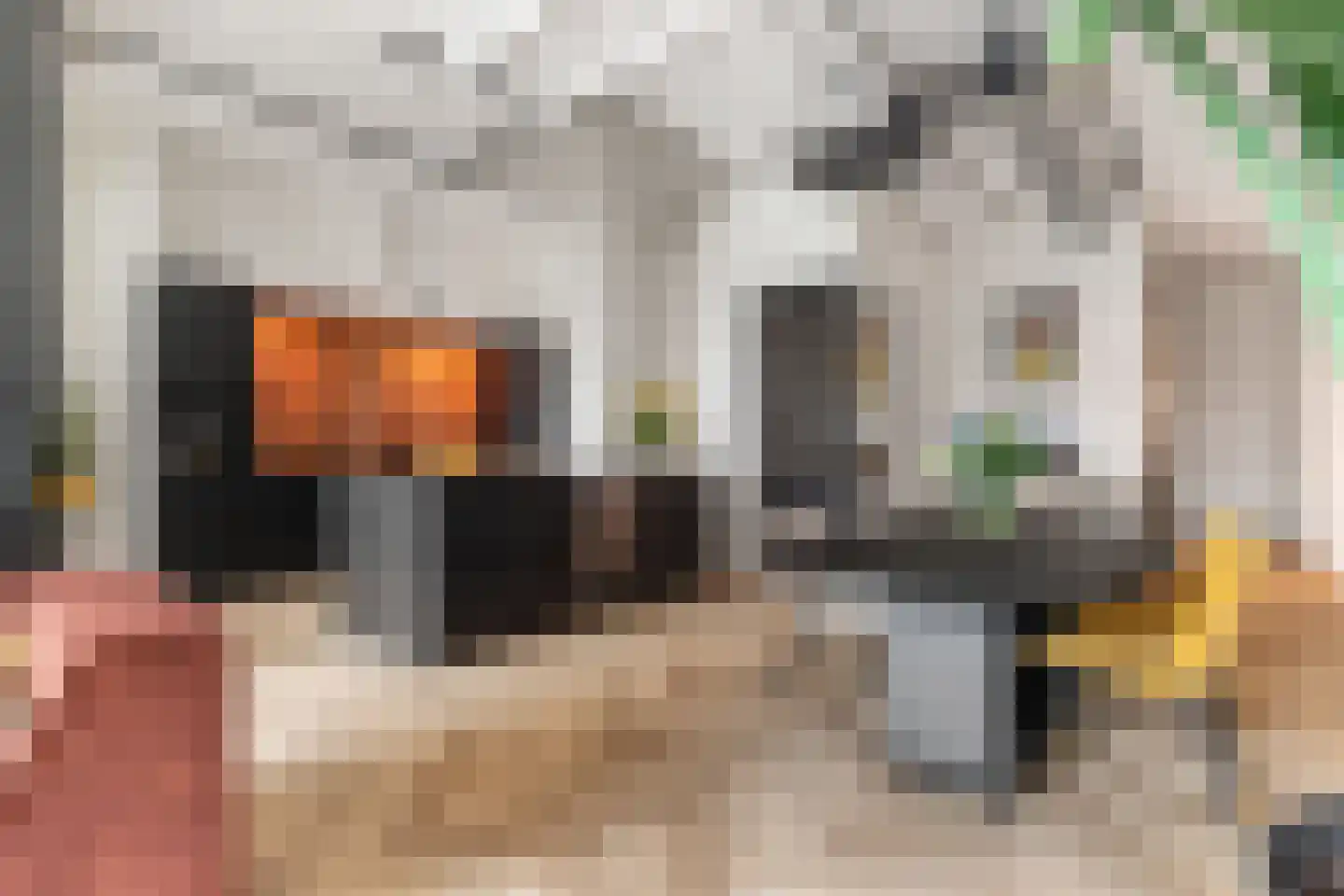 Surinamepad 152 Haarlem thumbnail 31