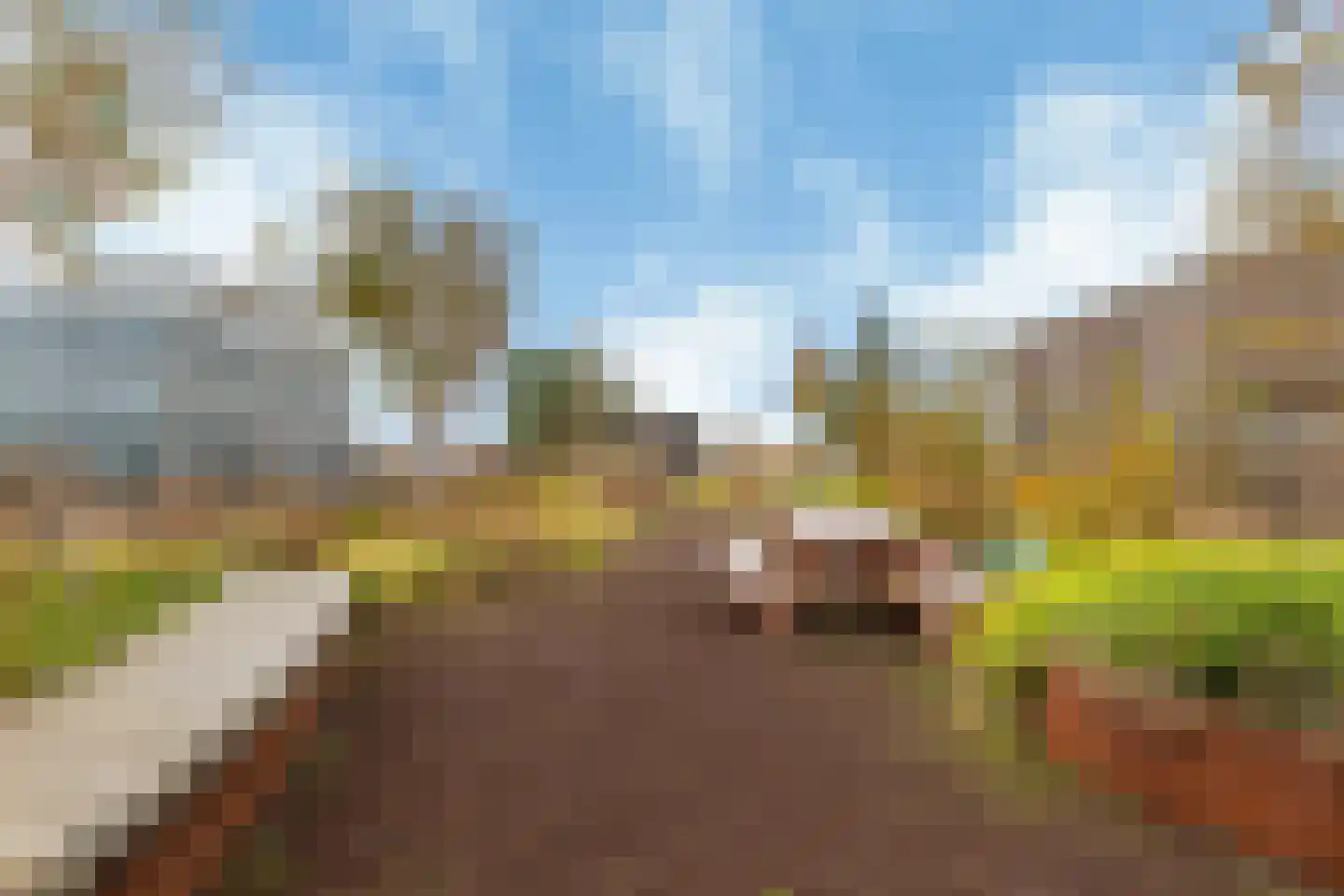 Surinamepad 152 Haarlem thumbnail 52