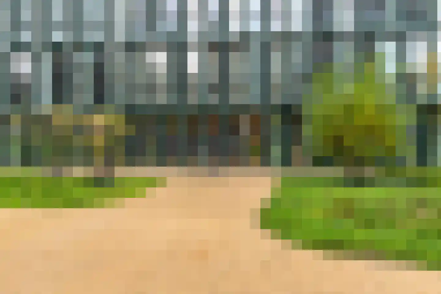 Surinamepad 152 Haarlem thumbnail 6