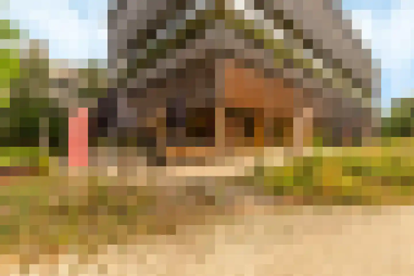 Surinamepad 152 Haarlem thumbnail 65